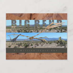 Carte Postale BIG BEND NAT’L PARK-Texas-Fossil Discovery