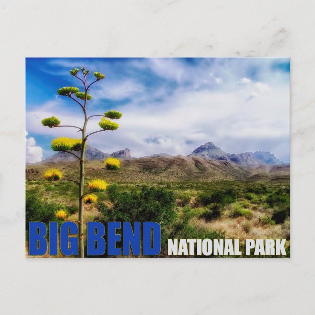 Carte postale Big Bend Texas US National Park (Devant)