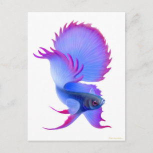 Carte Postale Big Blue Betta Fish
