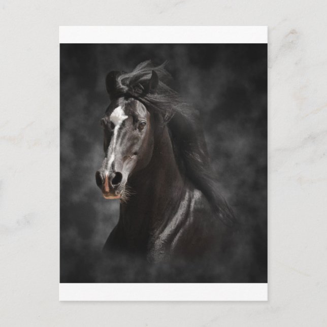 Carte Postale Big, Bold et Proud (Devant)