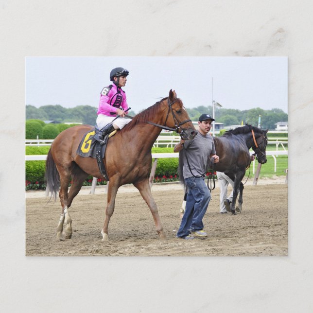 Carte Postale Big Business, Belmont Park (Devant)