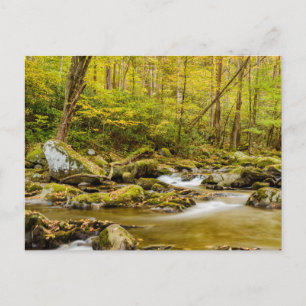 Carte Postale Big Creek   Caroline du Nord