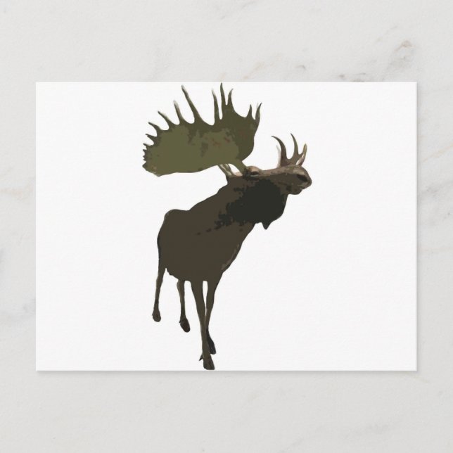 Carte Postale Big Daddy Moose (Devant)