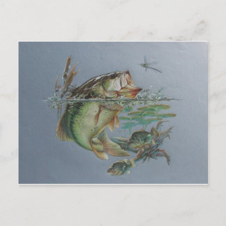 Carte Postale Big Mouth Bass