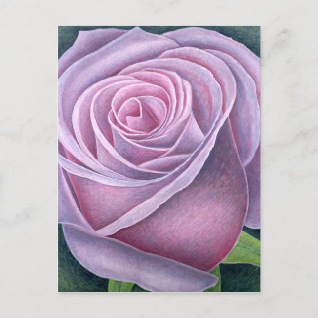 Carte Postale Big Rose 2003 (Devant)