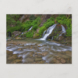 Carte Postale Big Springs Virgin River Parc national de Zion