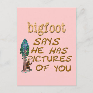 Carte Postale Bigfoot A Des Photos