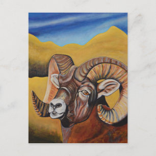 Carte Postale Bighorn Sheep