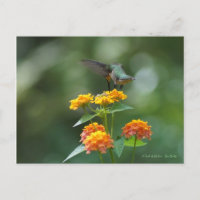 Bijou de danse