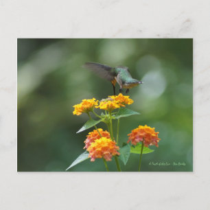 Carte Postale Bijou de danse