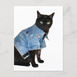 Carte Postale biker kitty
