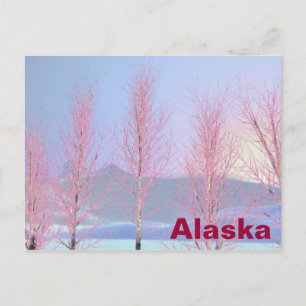 Carte Postale Birch à la crème de framboise