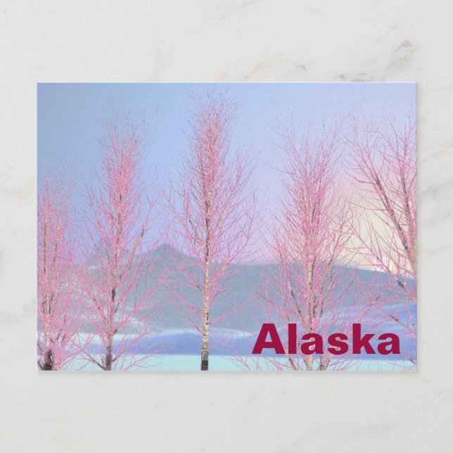 Carte Postale Birch à la crème de framboise (Devant)