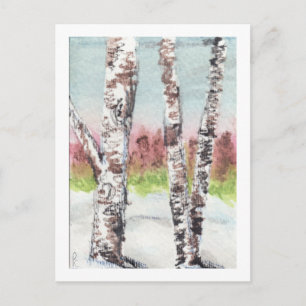 Carte postale Birch Woods