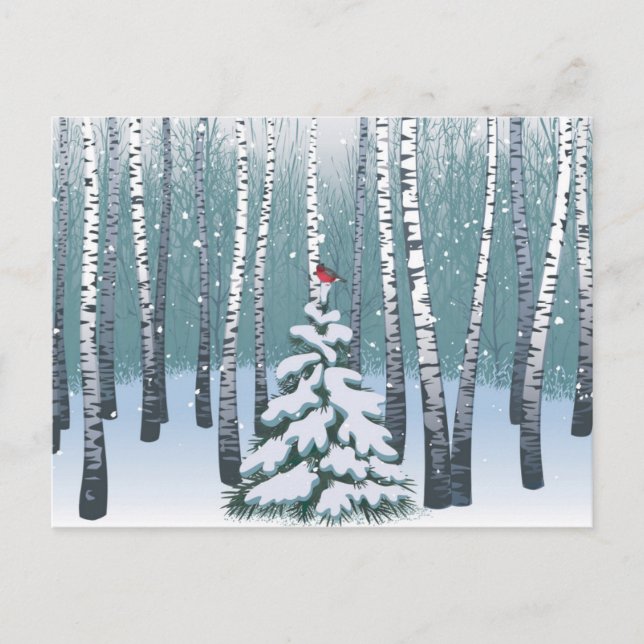 Carte Postale Birches Dans La Forêt D'Hiver (Devant)