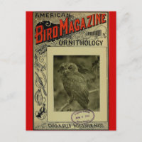 Bird Magazine 8 juin 1903