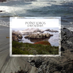 Carte Postale Bird Rock, Réserve d'état de Point Lobos