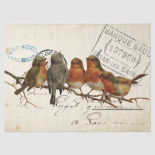 Carte Postale Bird Set 3 of 4 European Robins Text Tissue Paper