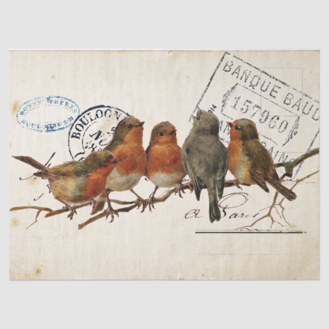 Carte Postale Bird Set 3 of 4 (European Robins) Tissue Paper (Front)