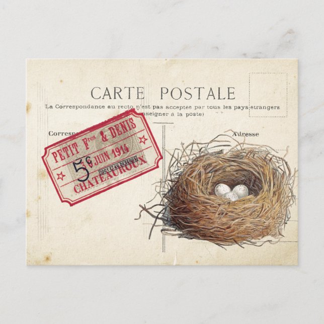 Carte Postale Bird Set 4 of 4 (Bird's Nest Ticket) Postcard (Front)