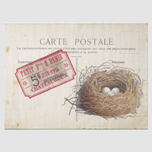 Carte Postale Bird Set 4 of 4 (Bird's Nest Ticket) Tissue Paper