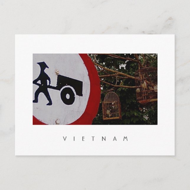 Carte postale Birdcages (Devant)