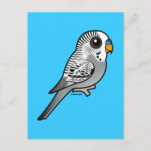 Carte Postale Birdorable Grey Budgie