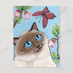 Carte postale Birman Cat et Papillon