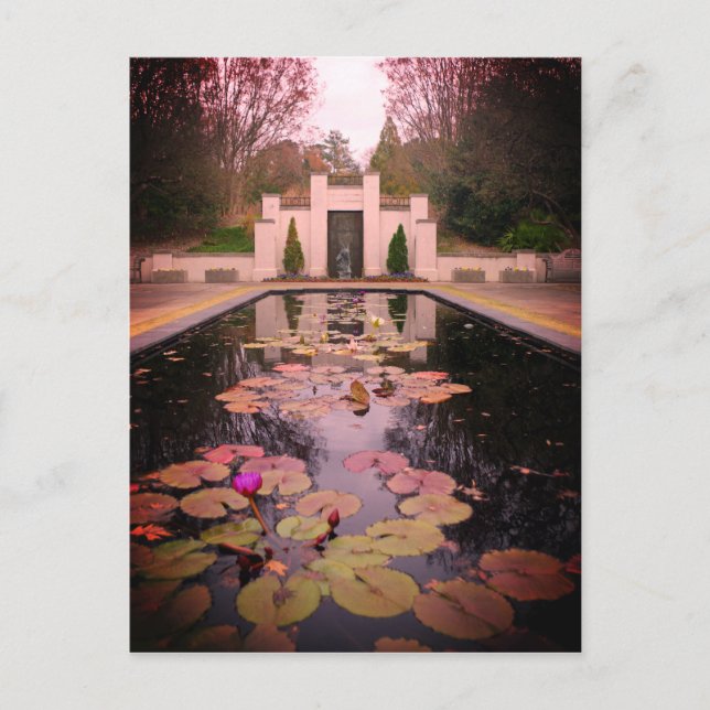Carte Postale Birmingham Lily Pond (Devant)