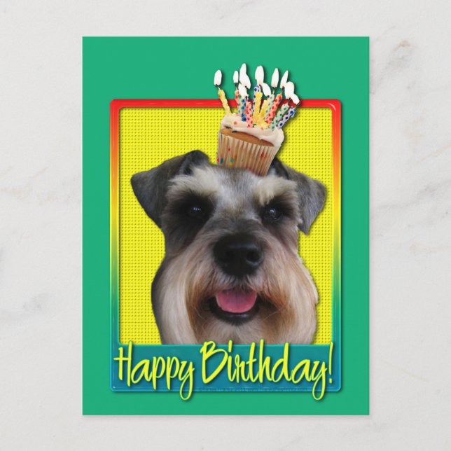 Carte Postale Birthday Cupcake - Schnauzer (Devant)