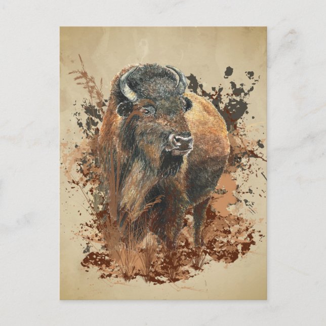 Carte Postale Bison Buffle Animalier Nature Faune Aquarelle (Devant)