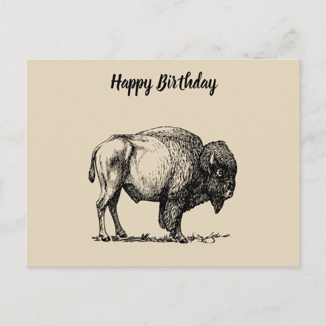 Carte Postale Bison de Buffalo américain (Devant)