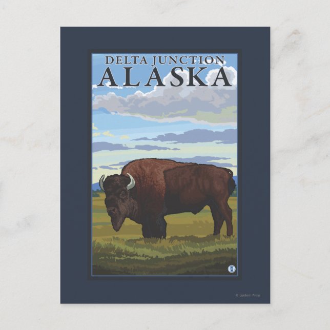 Carte Postale Bison Scene - Delta Junction, Alaska (Devant)
