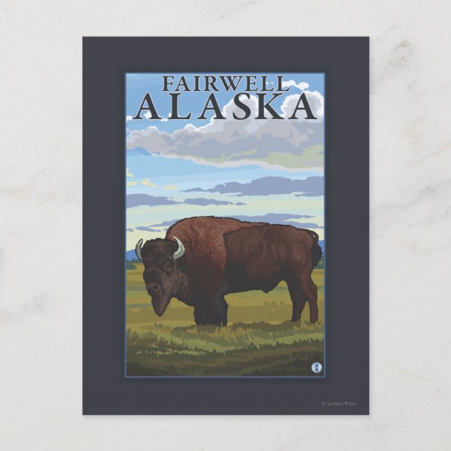 Carte Postale Bison Scene - Fairwell, Alaska (Devant)