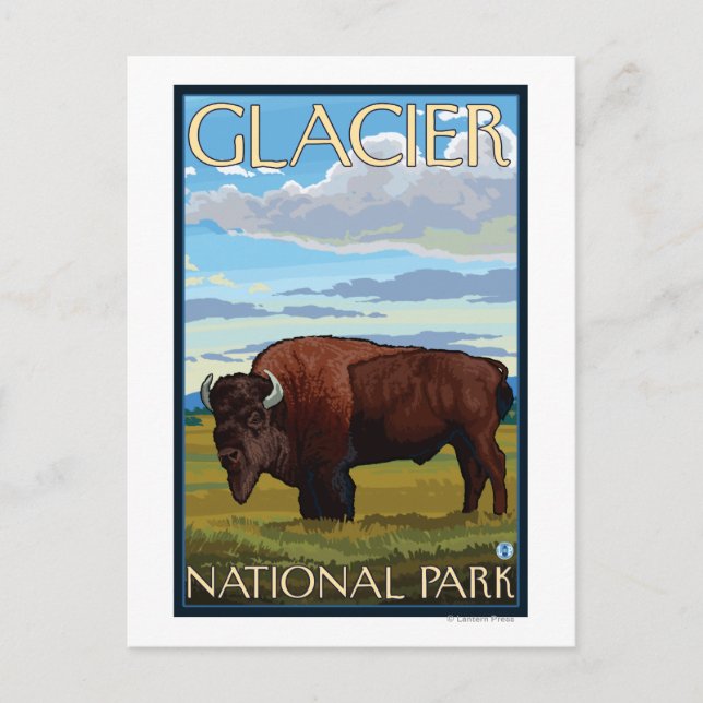 Carte Postale Bison Scene - Parc national des Glaciers, MT (Devant)