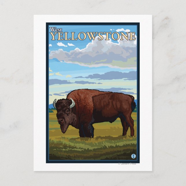 Carte Postale Bison Scene - West Yellowstone, Montana (Devant)