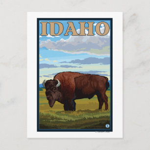 Carte Postale Bison ScèneIdahoVintage Affiche de voyage