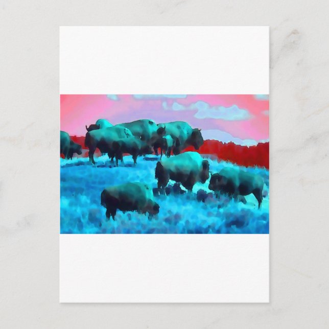 Carte Postale Bisons (Devant)