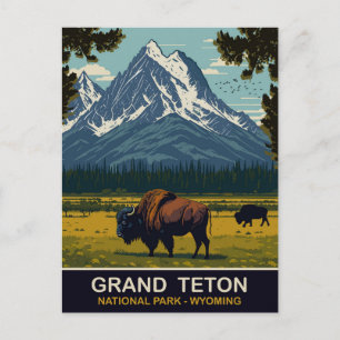 Carte Postale Bisons, Parc naturel de Grand Teton, Wyoming, Voya