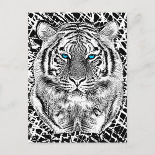 Carte Postale Black and White Blue Eyes sauvage Tiger visage