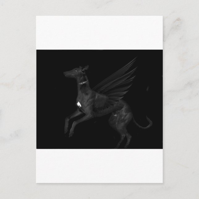 Carte Postale Black Angel Greyhound (Devant)