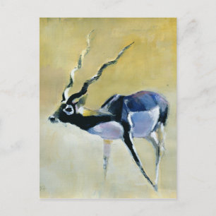Carte Postale Black Buck Velavadar 1997