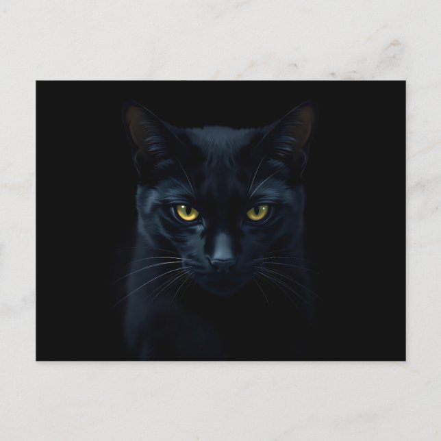 Carte Postale Black Cat (Devant)