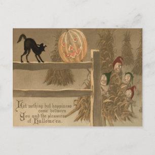 Carte Postale Black Cat Jack-o'-lantern Citrouille Haystack