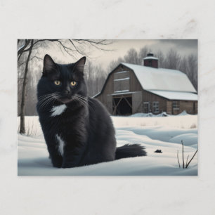 Carte Postale Black Cat  Série 2 02