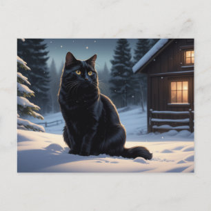 Carte Postale Black Cat  Série 2 07
