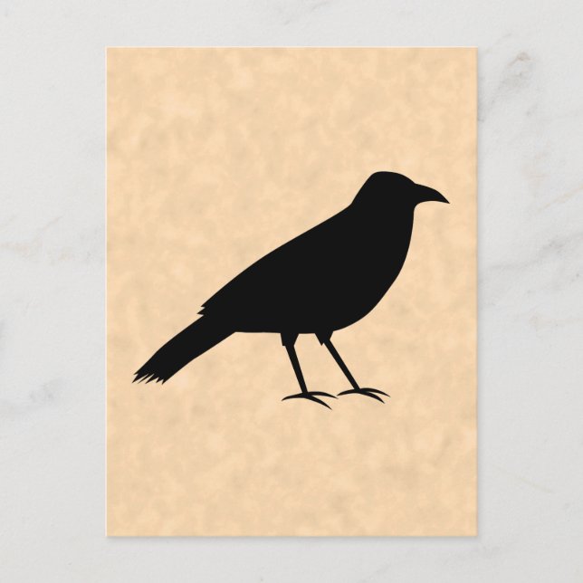 Carte Postale Black Crow Bird sur un Motif de parchemin. (Devant)