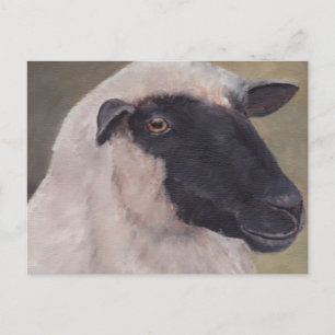 Carte postale Black Face Sheep Art