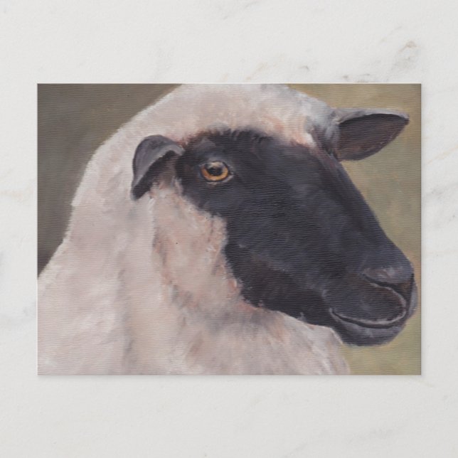 Carte postale Black Face Sheep Art (Devant)