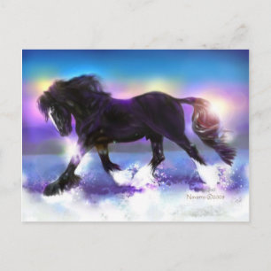 Carte Postale Black Foot Shire